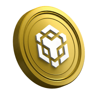 Pièce Binance BNB affichée sur la page de guide destinée aux nouveaux investisseurs